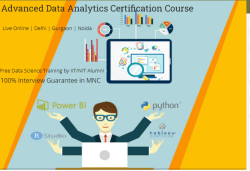 The Rise of Remote Data Analyst Jobs: Why an 