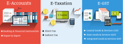 Accounting Training Institute in Delhi, Taxation & GST and Custom Course for Professionals in Delhi, 100% Job Guarantee Course by 
